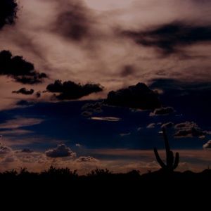 Lovely Star Photography Art Print